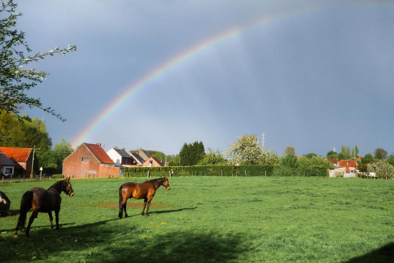 Gite Rural Les Petites Tetes Leuze-en-Hainaut Εξωτερικό φωτογραφία