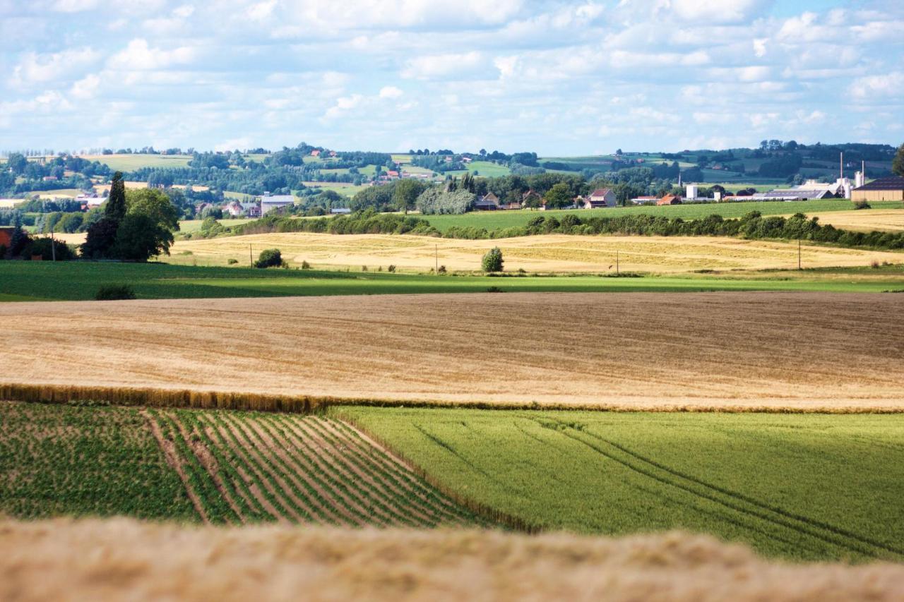 Gite Rural Les Petites Tetes Leuze-en-Hainaut Εξωτερικό φωτογραφία
